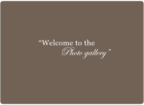 Welcome to the Custom Pianos Photo Gallery