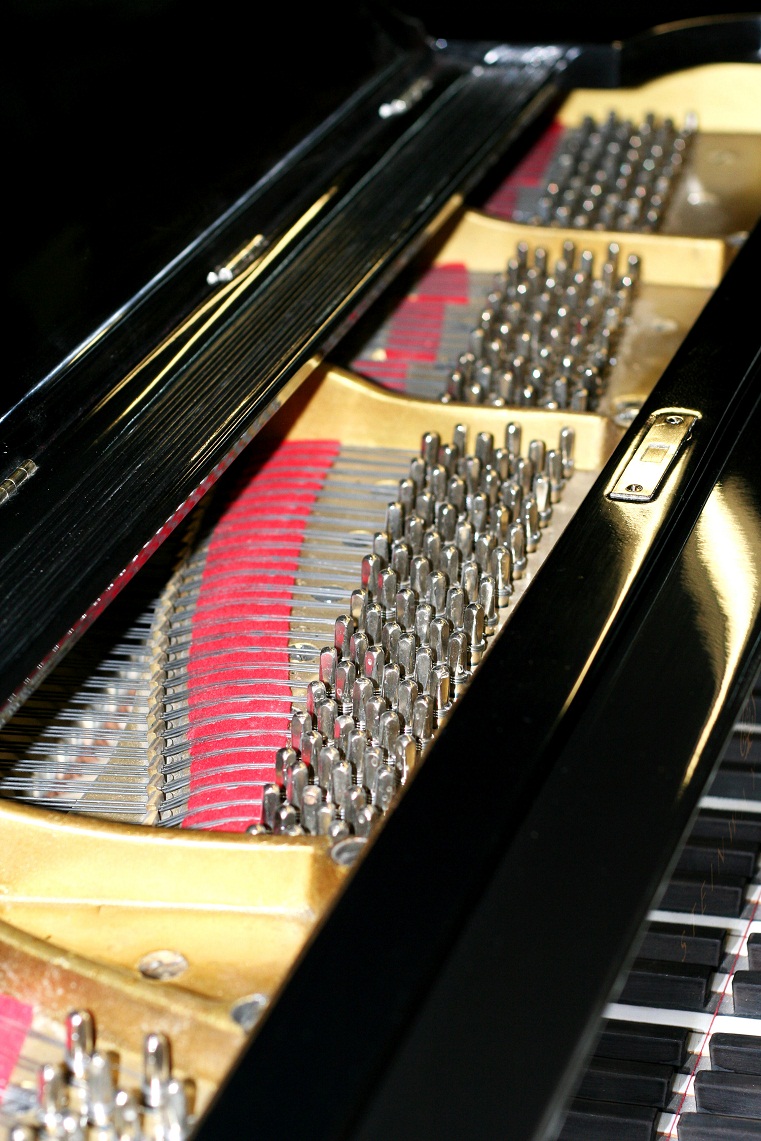 Custom Pianos Photo 9